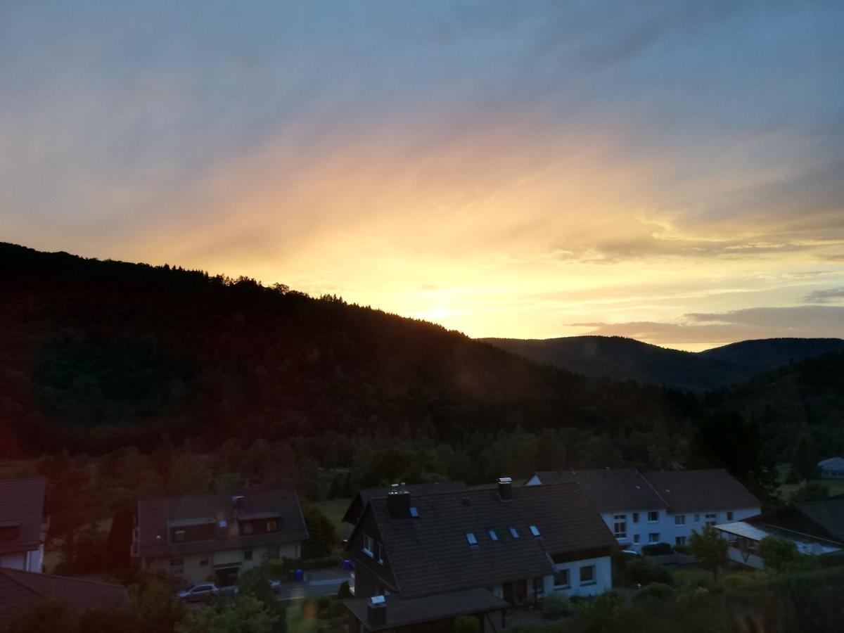 Hills Hut Villa Langelsheim Dış mekan fotoğraf
