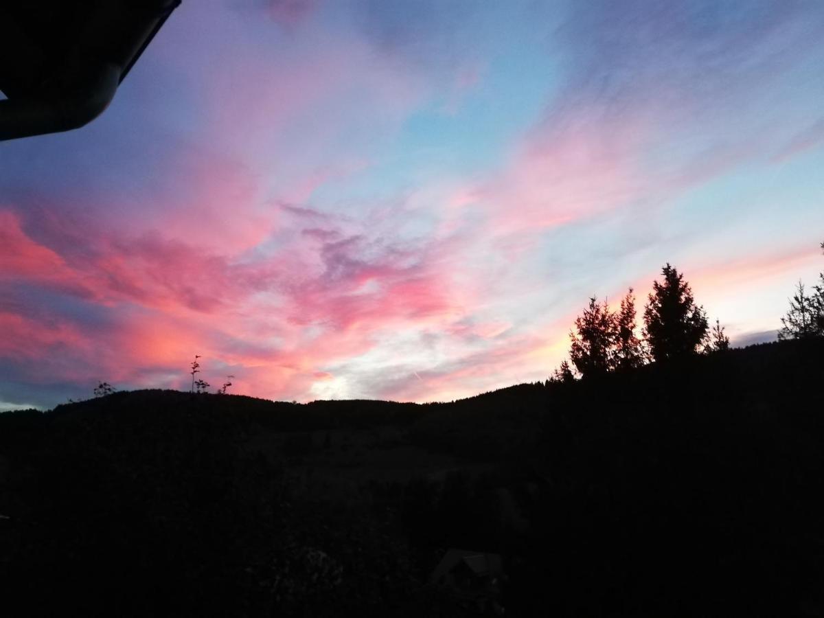 Hills Hut Villa Langelsheim Dış mekan fotoğraf