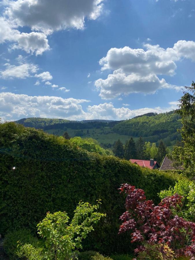 Hills Hut Villa Langelsheim Dış mekan fotoğraf