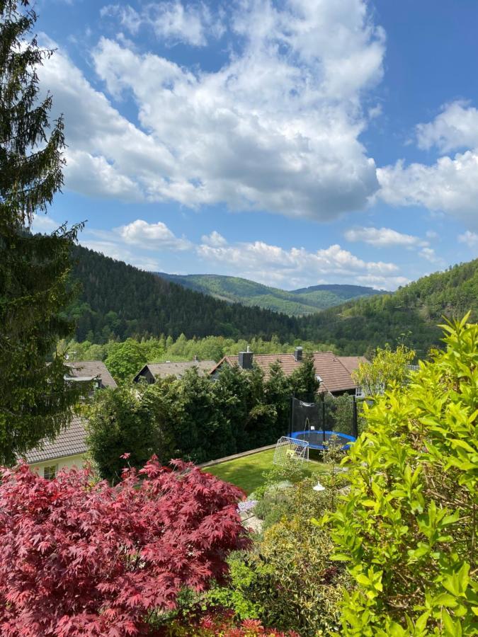 Hills Hut Villa Langelsheim Dış mekan fotoğraf
