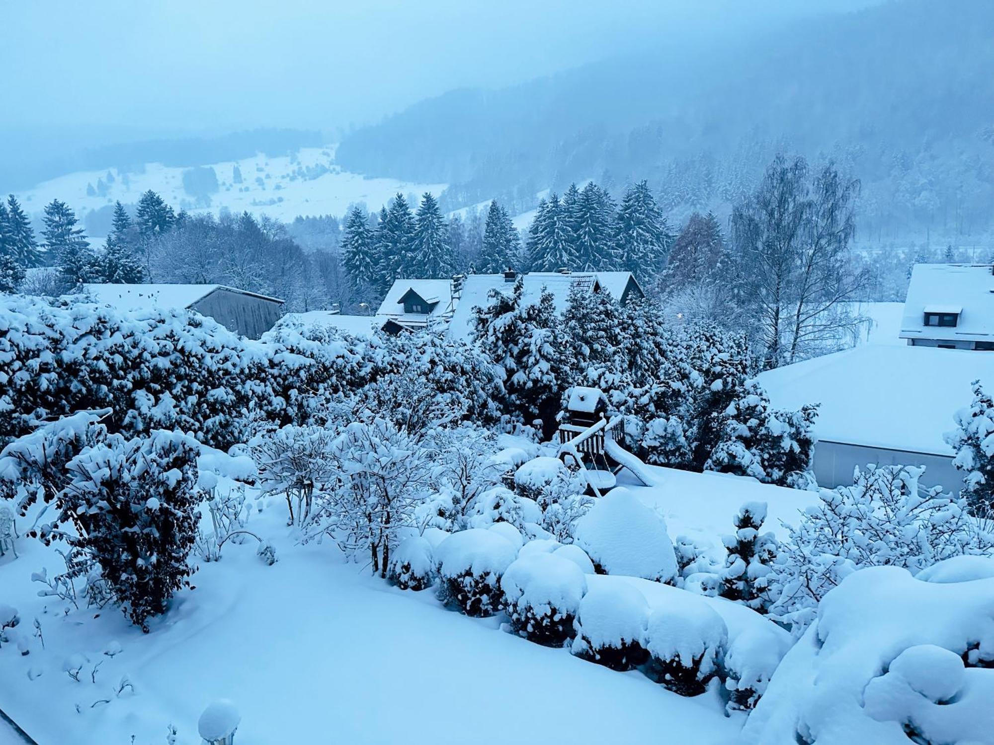 Hills Hut Villa Langelsheim Dış mekan fotoğraf