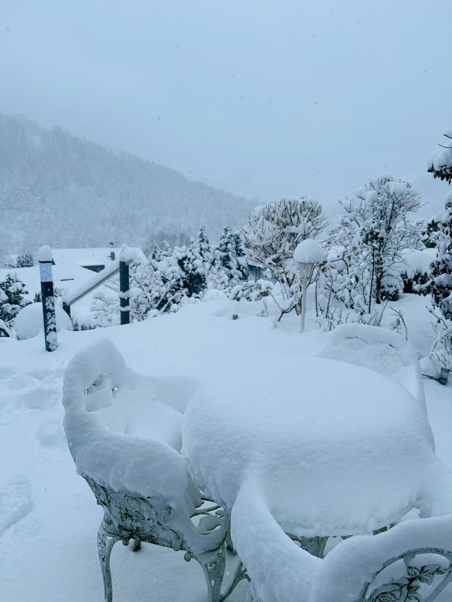 Hills Hut Villa Langelsheim Dış mekan fotoğraf